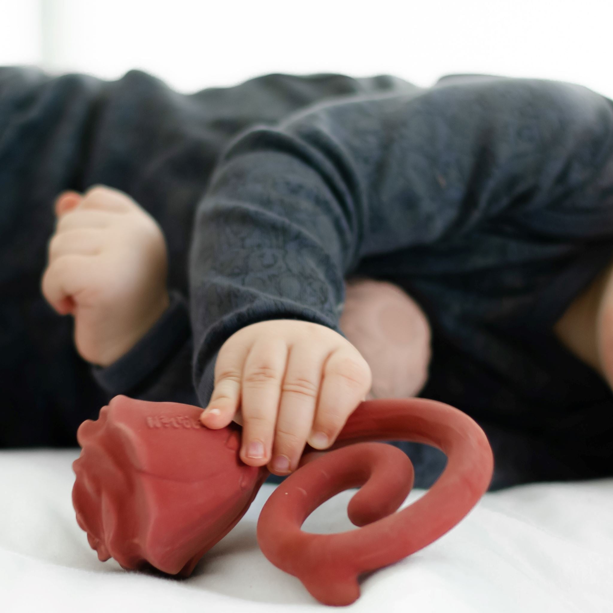 Mordedor Rose Natruba