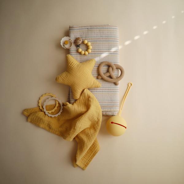 Silicone pacifier holder case dried daffodil mushie pacifier case mushie