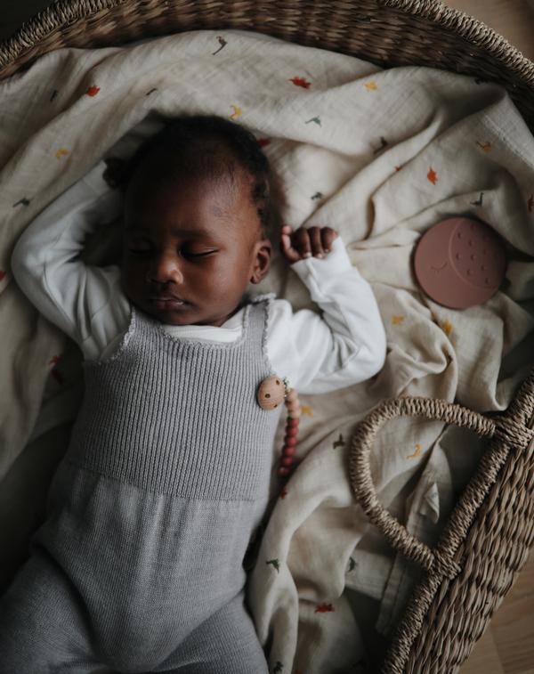 Muslin swaddle dinosaurs mushie muslin mushie