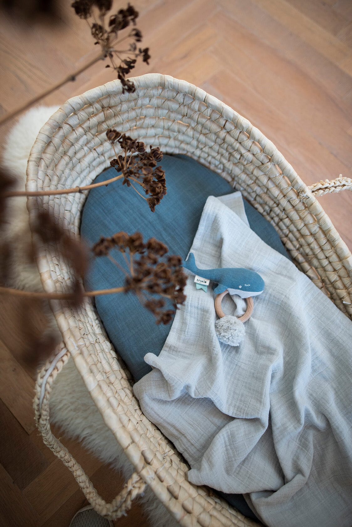 Mordedor Baleia Toys Trixie