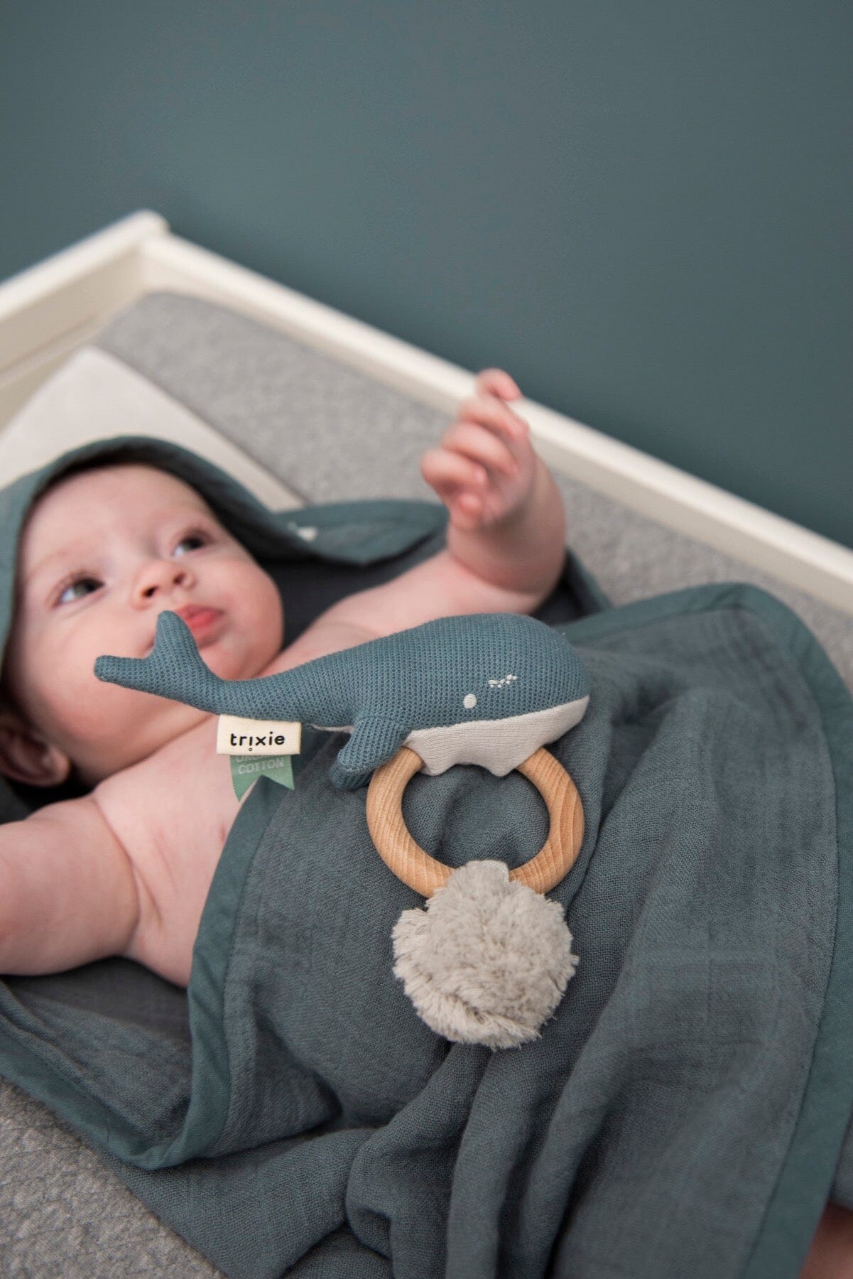 Mordedor Baleia Toys Trixie