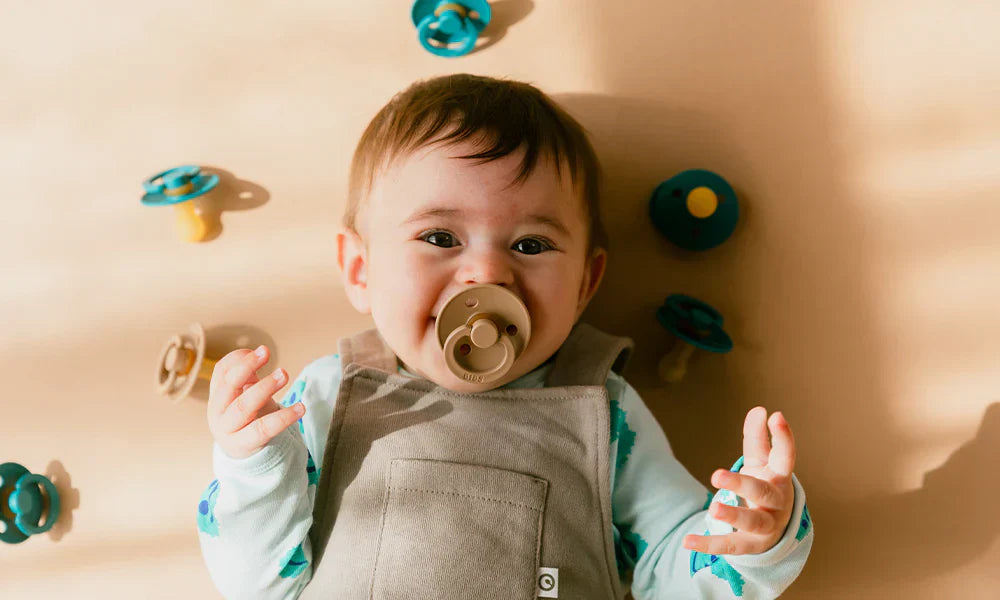 1 chupeta redonda dark oak BIBS Colour 0+ meses