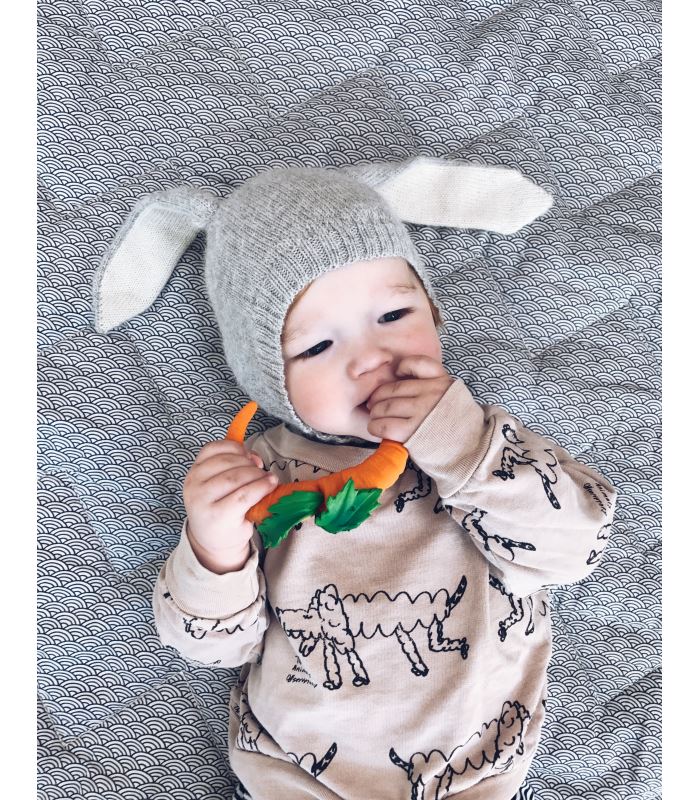 Cathy the carrot Toys Oli&Carol