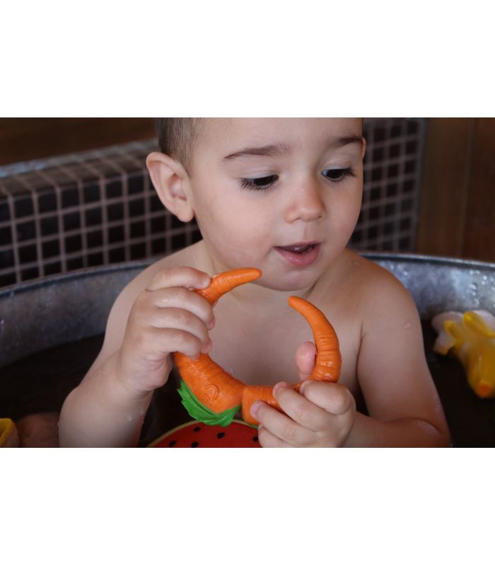 Cathy the carrot Toys Oli&Carol