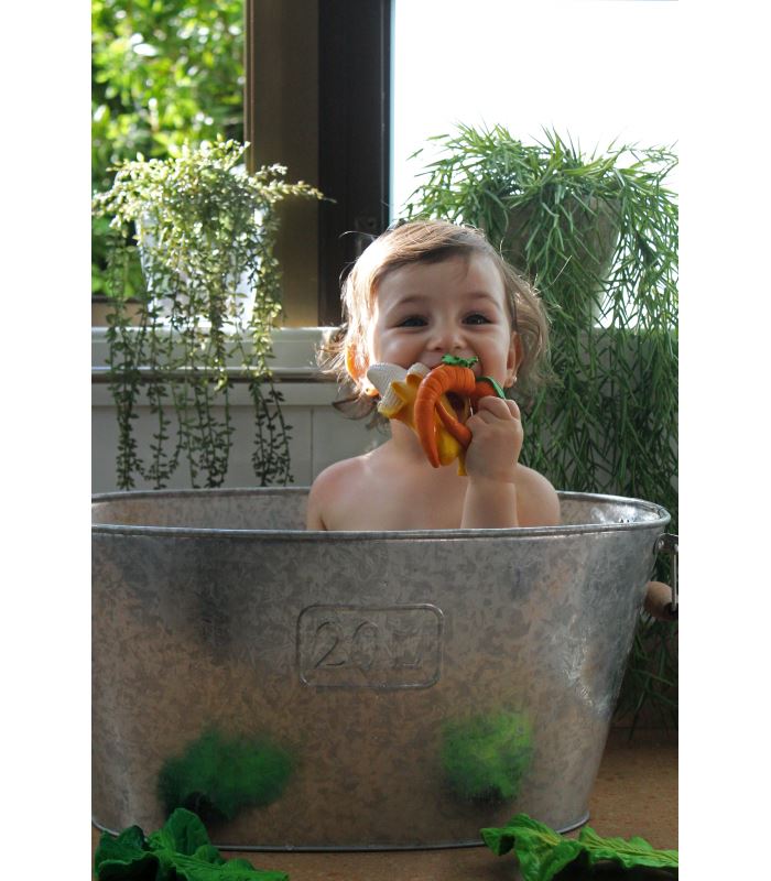 Cathy the carrot Toys Oli&Carol