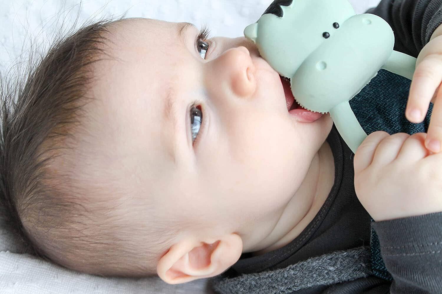 Mordedor Hippo Toys Lanco