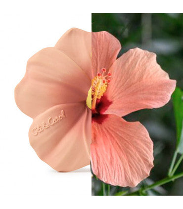 Mordedor Iris the hibiscus Toys Oli&Carol