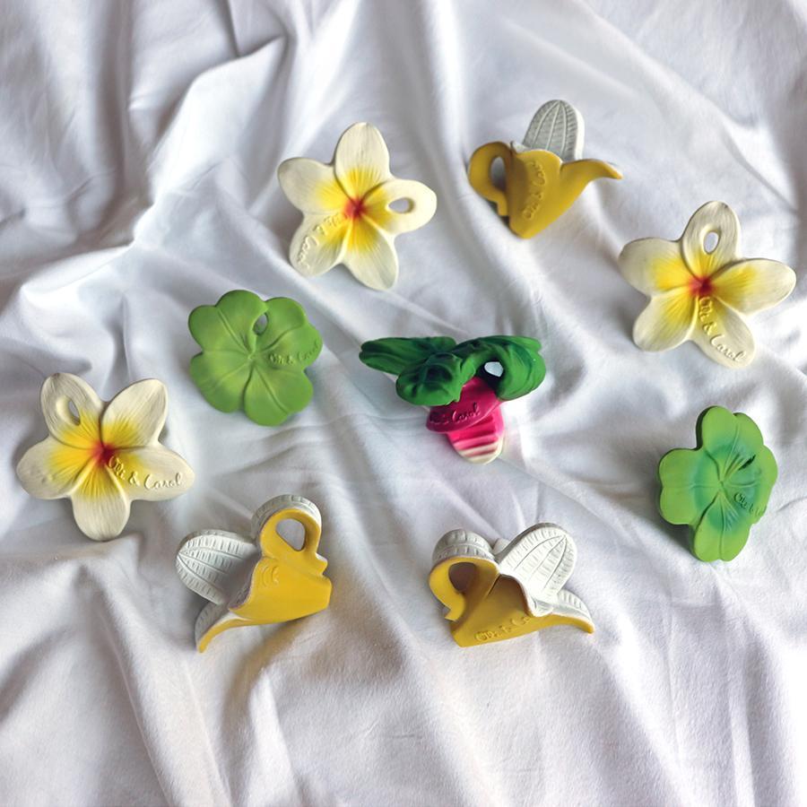 Hawaii the flower Toys Oli&Carol