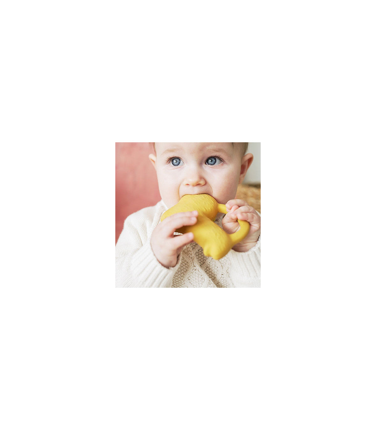 Mordedor Richie lion Oli&Carol x Donna Wilson Toys Oli&Carol