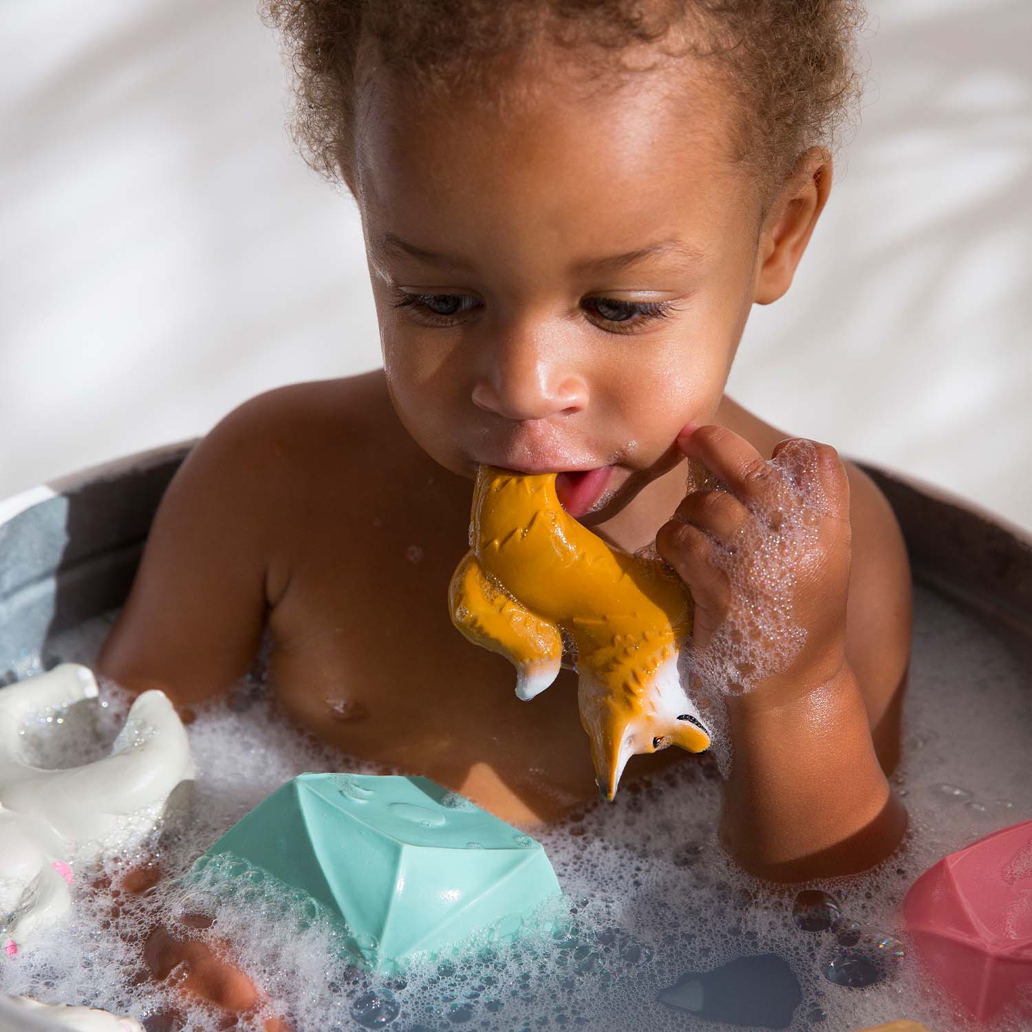 Mordedor pulseira raposa Rob