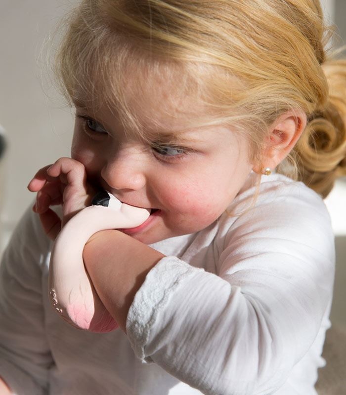 Sky the flamingo Oli & Carol Toys Oli&Carol