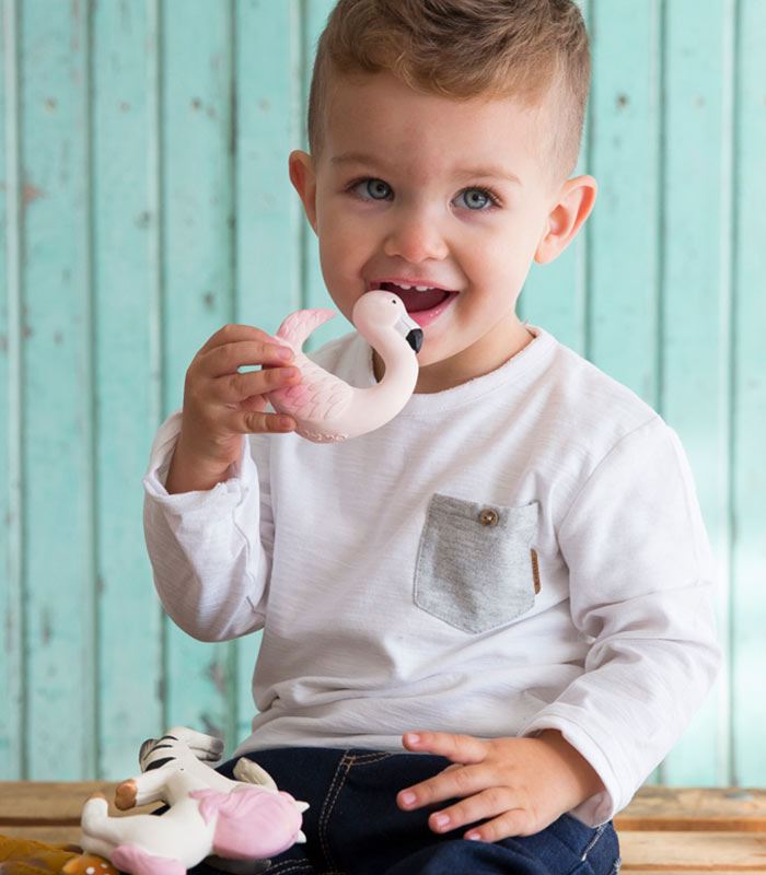 Sky the flamingo Oli & Carol Toys Oli&Carol