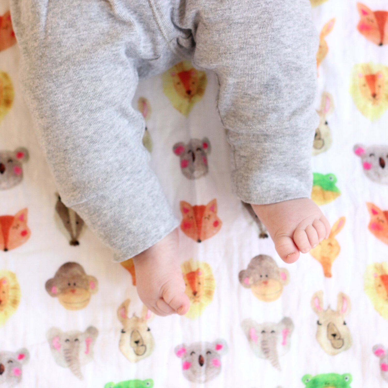 Musselina 120 cm animais Muslins Fox in the attic