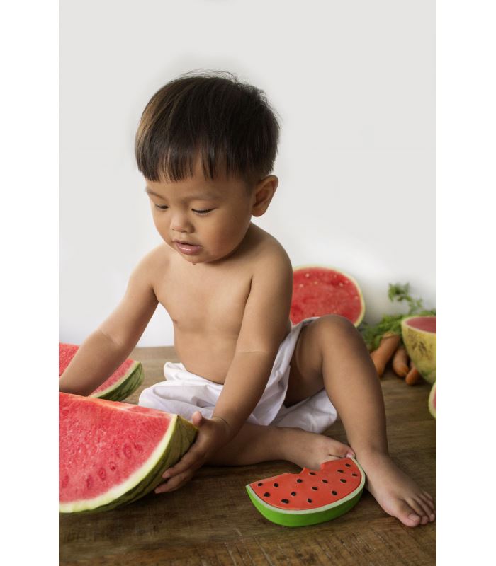 Wally the watermelon Toys Oli&Carol