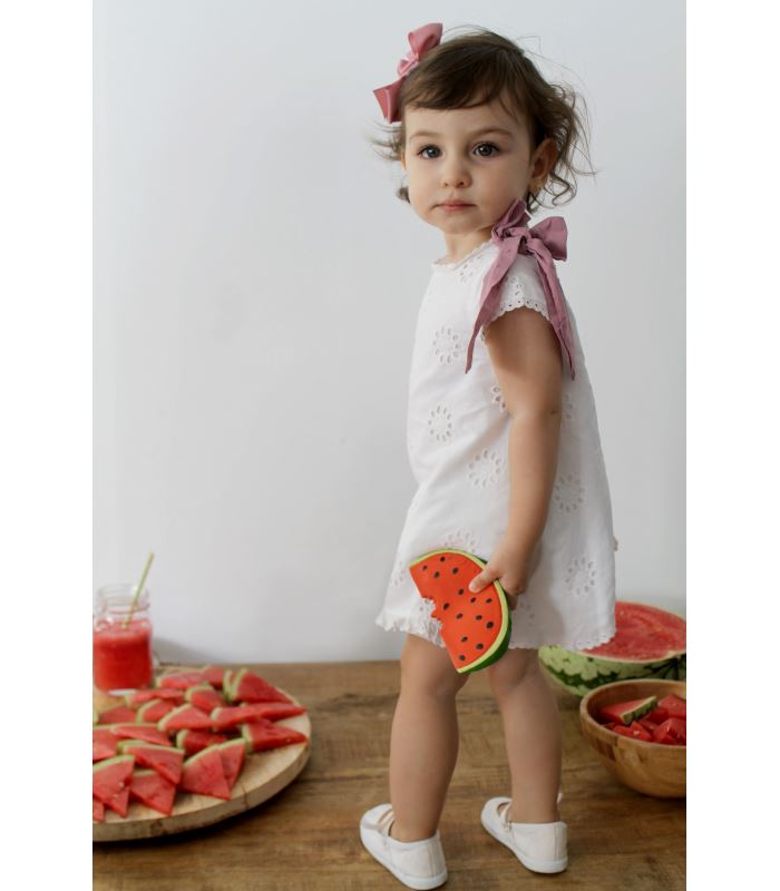 Wally the watermelon Toys Oli&Carol