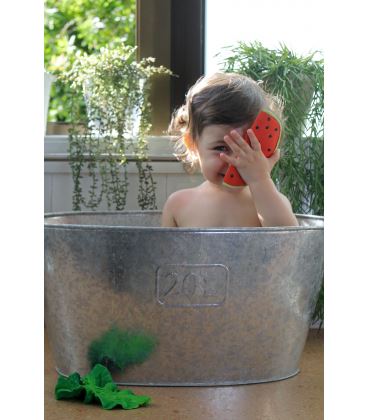 Wally the watermelon Toys Oli&Carol