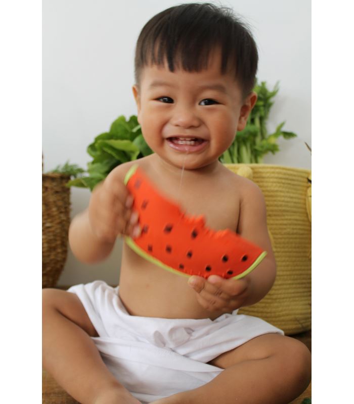 Wally the watermelon Toys Oli&Carol