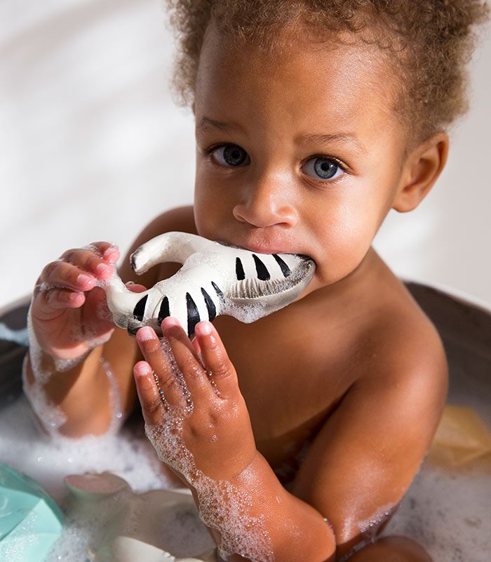 Zoe the zebra Oli & Carol Toys Oli&Carol