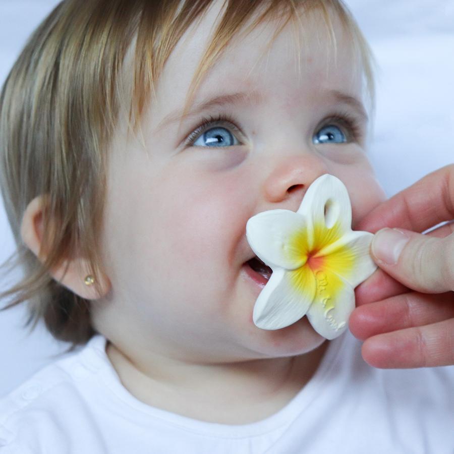 Hawaii the flower Toys Oli&amp;Carol 