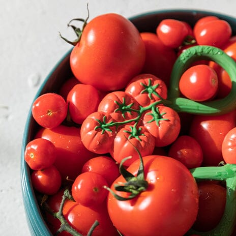 Roca e mordedor orgânico tomate